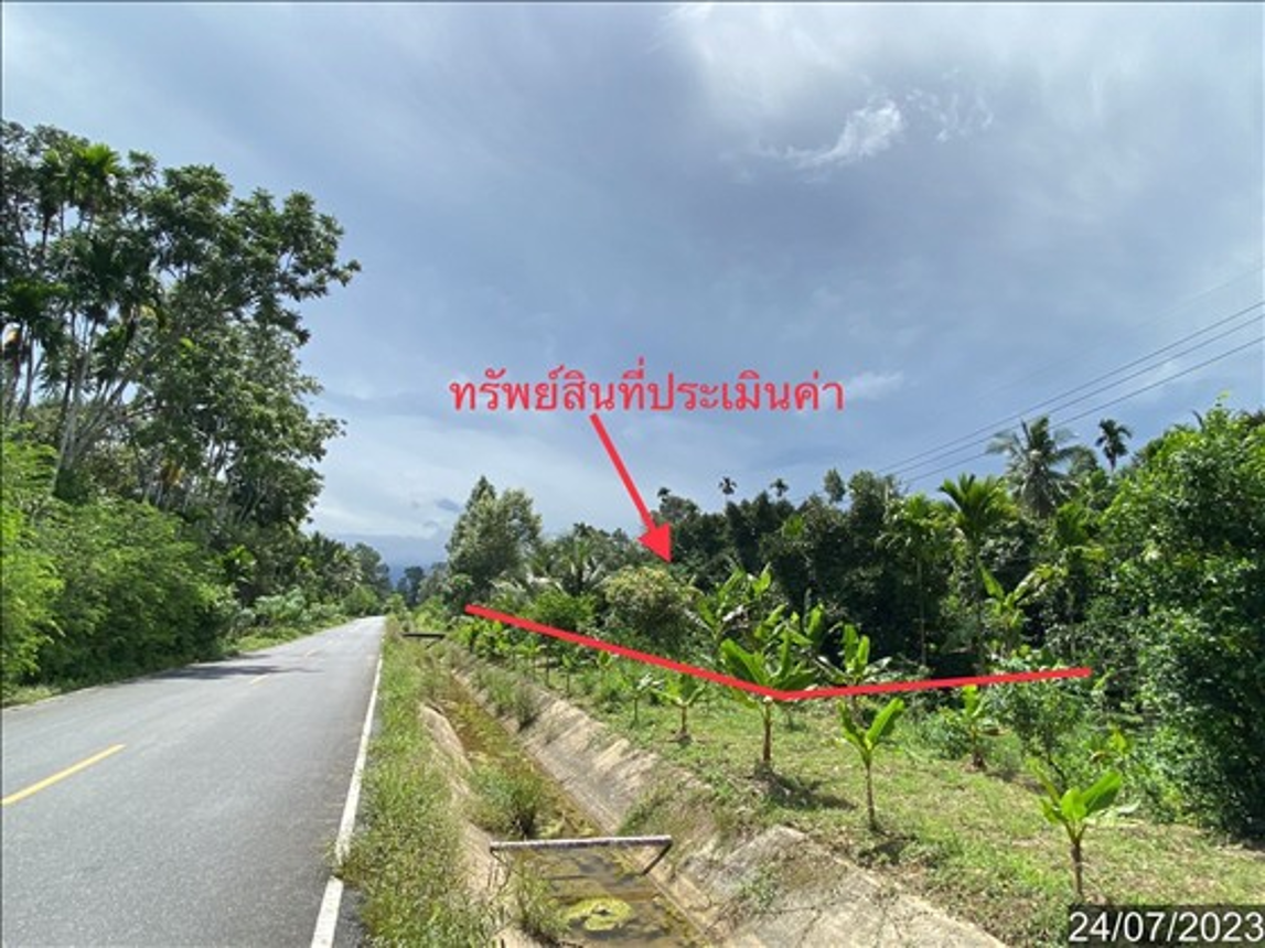 picture HOME 640 Sq.w. Phra Phrom Nakhon Sri Thammarat for 2.1M - 10/14