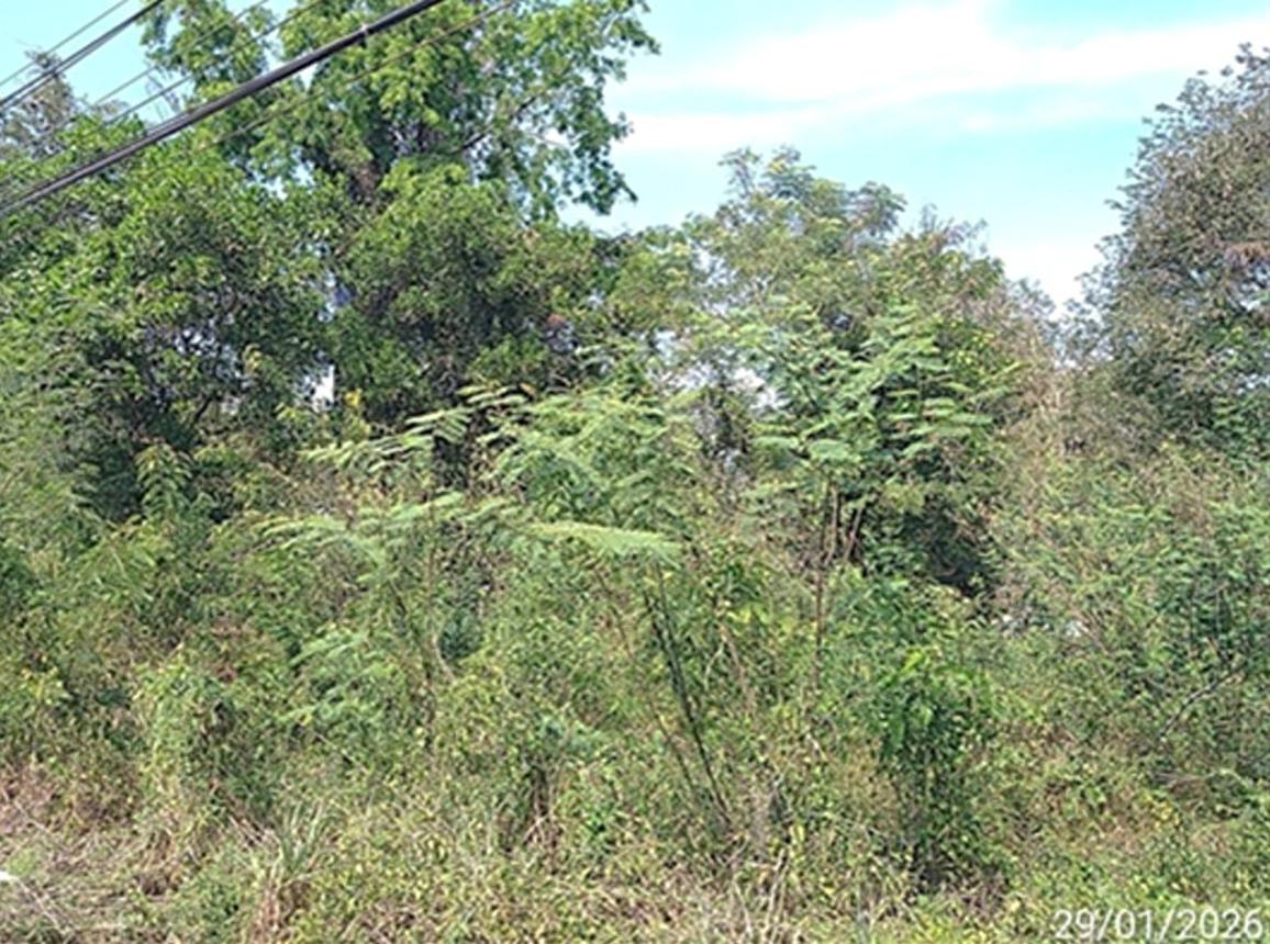 picture LAND 567 Sq.w. Kabin Buri Prachinburi for 2.3M - 11/18