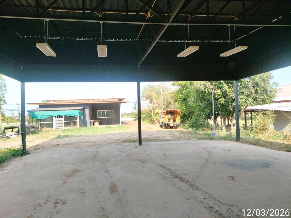 รูป โกดัง 300 ตร.วา จตุรพักตรพิมาน ร้อยเอ็ด 3.8M - รูปที่ 31/36