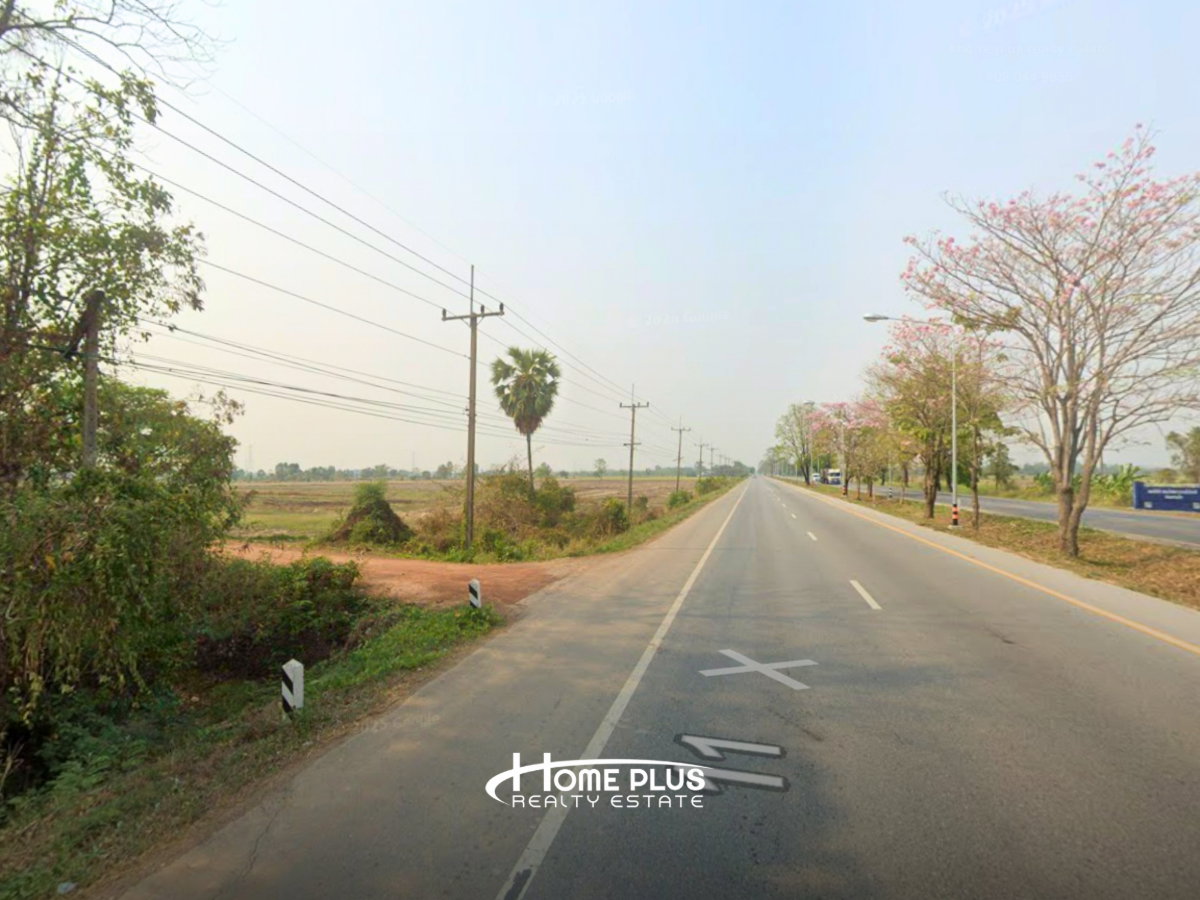 รูป ที่ดินตำบลวัดตายม 23 ไร่ ใกล้ถนนหมายเลข 11 อำเภอบางกระทุ่ม จังหวัดพิษณุโลก - รูปที่ 3/7