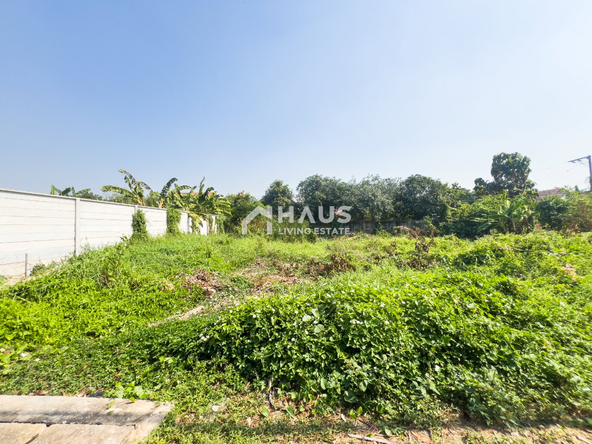 picture Land Soi Chimphli 28 / 100 Sq.wa #LRP2036 - 14/20