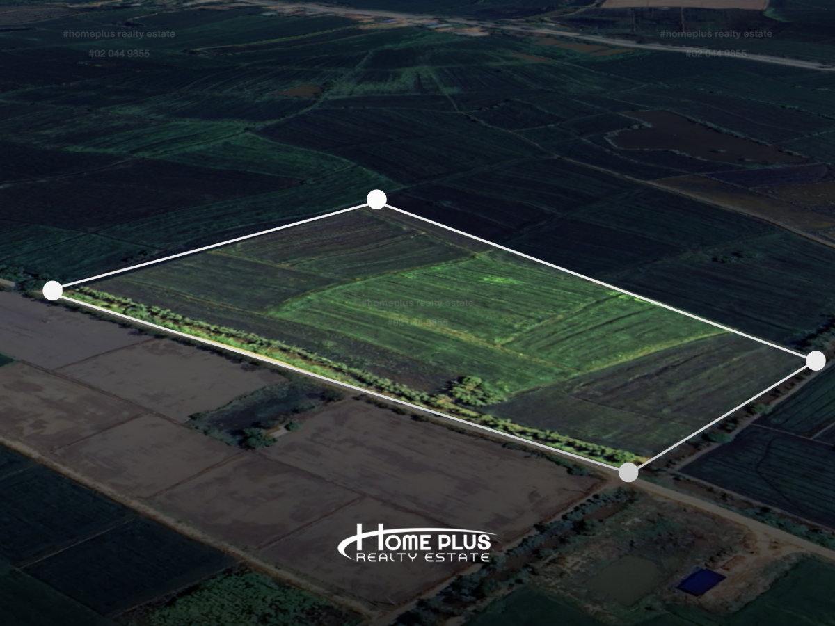 รูป ที่ดินตำบลวัดตายม 23 ไร่ ใกล้ถนนหมายเลข 11 อำเภอบางกระทุ่ม จังหวัดพิษณุโลก - รูปที่ 2/7