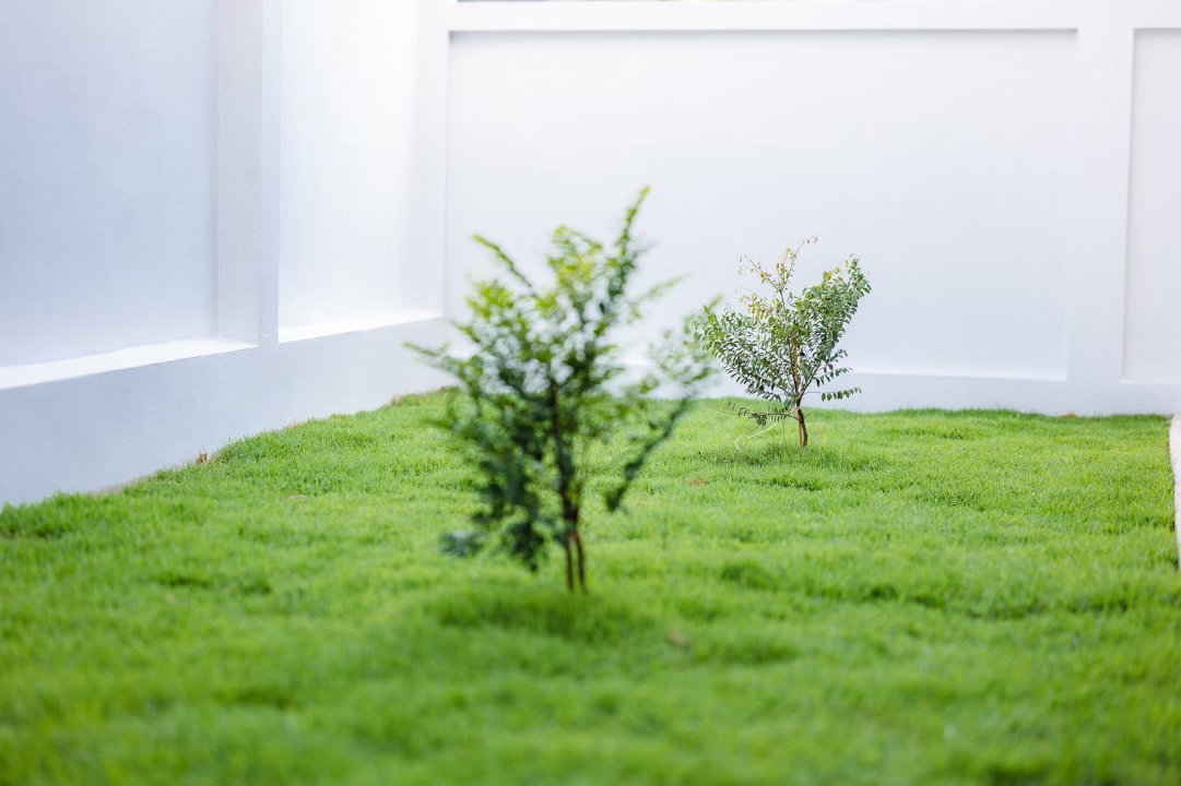 รูป ขายบ้านใหม่ใกล้รวมโชค โครงการบ้าน Morning เหมาะกับคนอยากมีบ้านหลังแรก บ้านสวย น้ำไมท่วม เดินทางสะดวก-SW003591 - รูปที่ 20/20