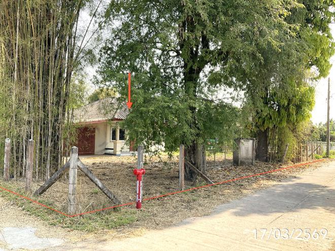 รูป บ้านเดี่ยว 292.1 ตร.วา พาน เชียงราย 1M - รูปที่ 13/30