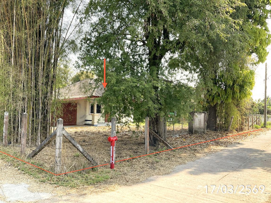 รูป บ้านเดี่ยว 292.1 ตร.วา พาน เชียงราย 1M - รูปที่ 26/30