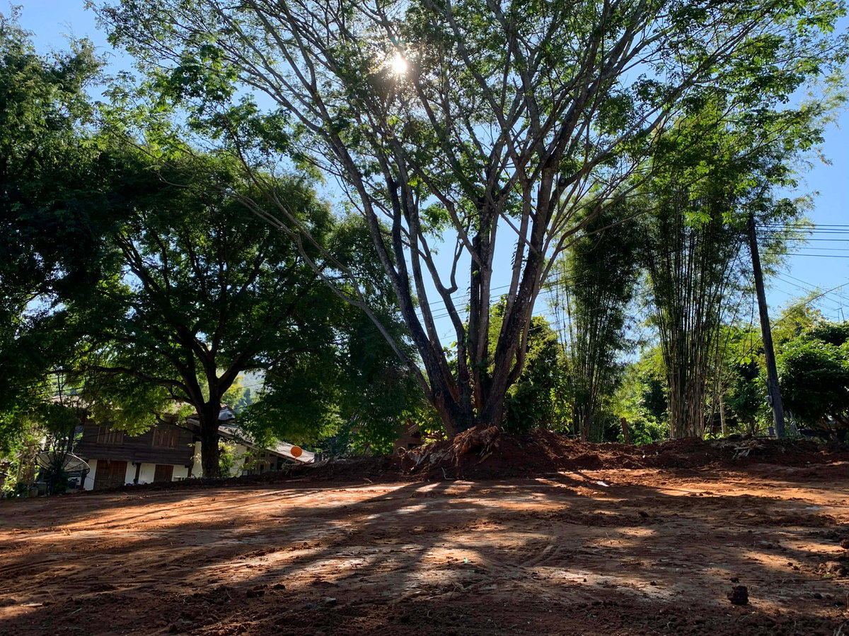 picture LAND FOR LEASE, MAE CHAM CHIANG MAI BYPASS DOI INTHANON - 5/19