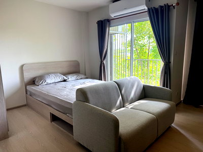 Condos for rent Central Festival Hadyai : Condo Sand Hatyai for rent./year