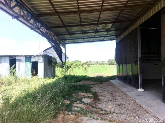 picture FACTORY 983.7 Sq.w. Muang Saraburi Saraburi for 7.9M - 2/22