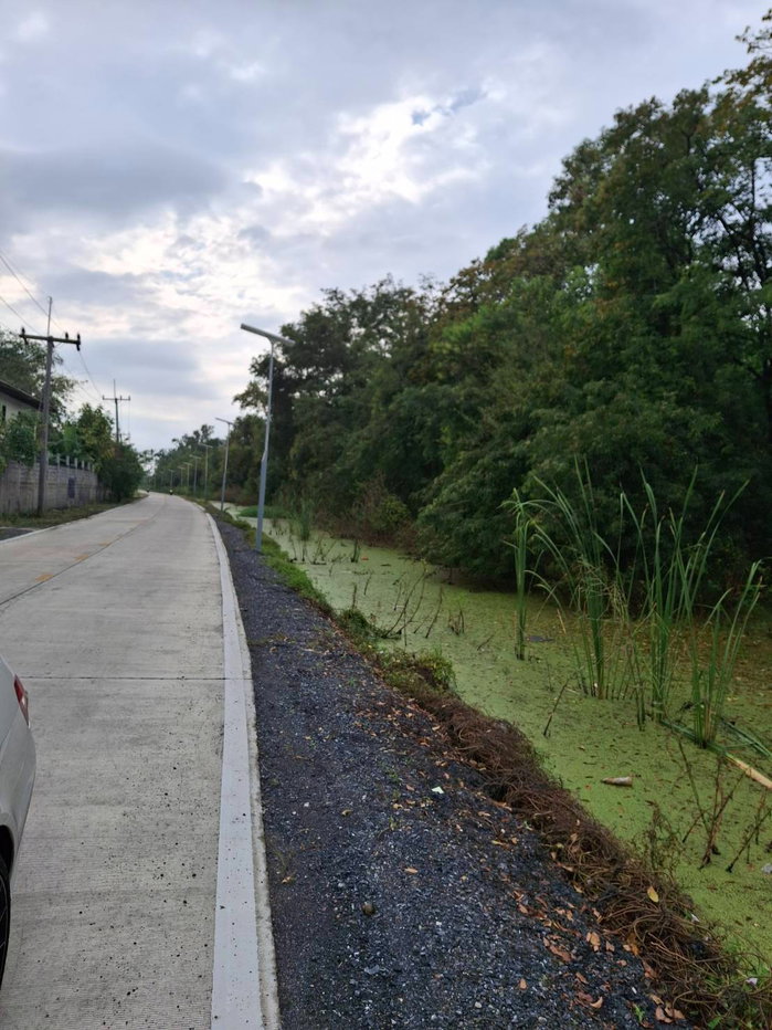 picture 🌿 Prime 110 Rai Land for Sale on Asian Highway – Ideal for Large-Scale Development - 5/8