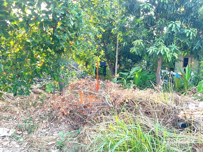 รูป ที่ดินว่างเปล่า 169.1 ตร.วา เขตดอนเมือง กรุงเทพมหานคร 3.8M - รูปที่ 3/10
