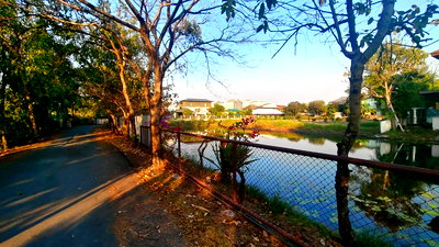 ที่ดิน หลักสี่พลาซ่า :  ขายที่ดิน ทำเลทใกล้ ถนนแจ้งวัฒนะ เนื้อที่ 2 ไร่ 93 ตารางวา ซอย เเสงหวี 