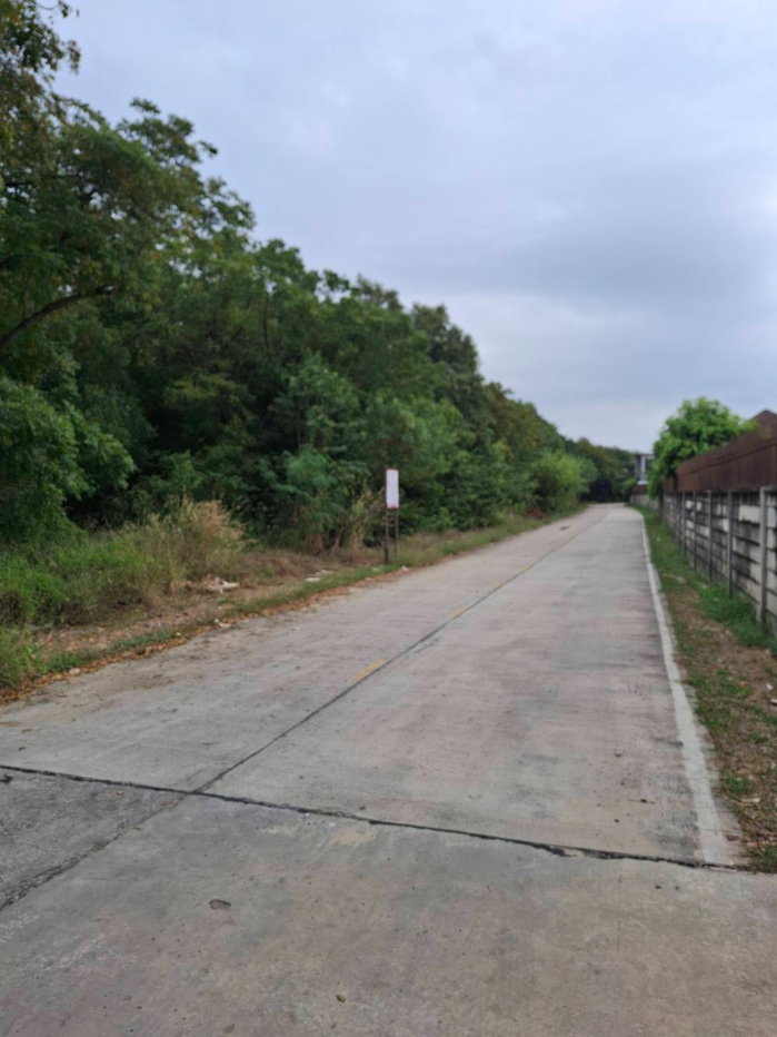 picture 🌿 Prime 110 Rai Land for Sale on Asian Highway – Ideal for Large-Scale Development - 4/8