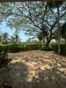 listing thumbnail image 17