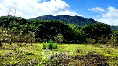 Land for sale Chiang Mai : 9,984 m² Land for Sale in On Klang (ID 2709790)