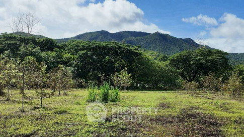 9,984 m² Land for Sale in On Klang (ID 2709790)