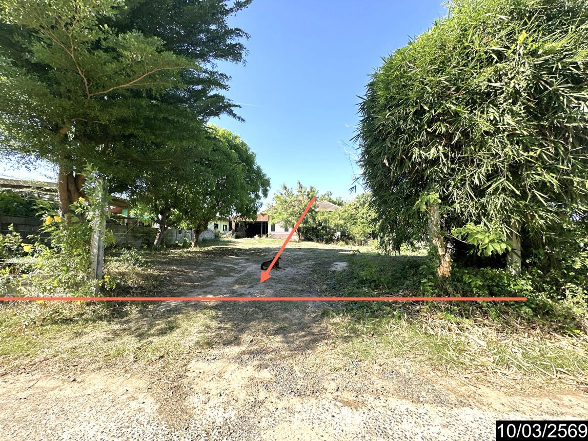 รูป บ้านเดี่ยว 179.1 ตร.วา วารินชำราบ อุบลราชธานี 2.6M - รูปที่ 11/16