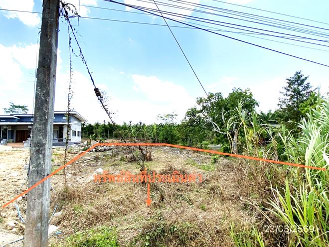 รูป ที่ดินว่างเปล่า 109.8 ตร.วา นาบอน นครศรีธรรมราช 893,000 - รูปที่ 4/12