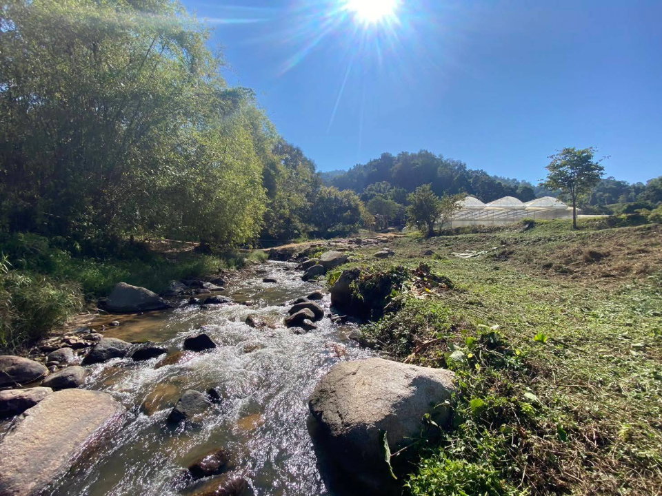 รูป ขายยกแปลง ที่ดินสวนสวย ติดลำธาร ล้อมรอบด้วยภูเขา พร้อมโรงเรือน เหมาะกับสร้างบ้านพัก ฟาร์มเกษตร บรรยากาศดีมาก-SW003589 - รูปที่ 3/14