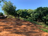 listing thumbnail image 13