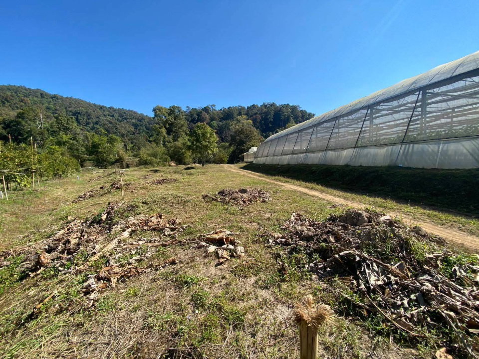 รูป ขายยกแปลง ที่ดินสวนสวย ติดลำธาร ล้อมรอบด้วยภูเขา พร้อมโรงเรือน เหมาะกับสร้างบ้านพัก ฟาร์มเกษตร บรรยากาศดีมาก-SW003589 - รูปที่ 8/14