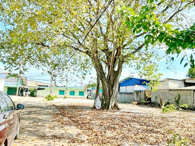 รูป เทศบาลเมืองฉะเชิงเทรา 400 ม. ลดราคาครั้งที่3 ให้เช่า ร้านค้า หรือออฟฟิศ 60ตร.ม. โรบินสัน บิ๊กซี ฉะเชิงเทรา ติดถนน เหมาะทำออฟฟิศ 1 นอน - รูปที่ 7/8