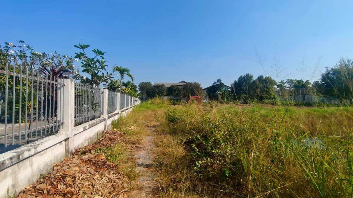 รูป  ขายที่ดิน ทำเลทใกล้ ถนนแจ้งวัฒนะ เนื้อที่ 2 ไร่ 93 ตารางวา ซอย เเสงหวี  - รูปที่ 4/13