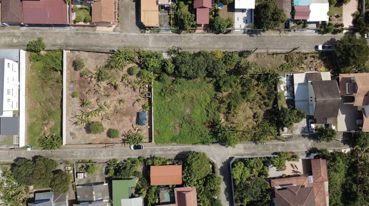 picture Land Soi Chimphli 28 / 100 Sq.wa #LRP2036 - 3/20