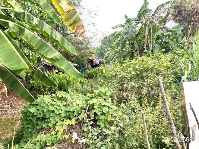 รูป ที่ดินว่างเปล่า 142 ตร.วา เมืองสระแก้ว สระแก้ว 871,000 - รูปที่ 6/16