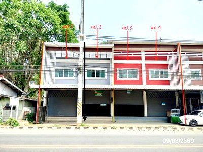 อาคารพาณิชย์ เชียงราย : อาคารพาณิชย์ 51 ตร.วา เวียงป่าเป้า เชียงราย 12M