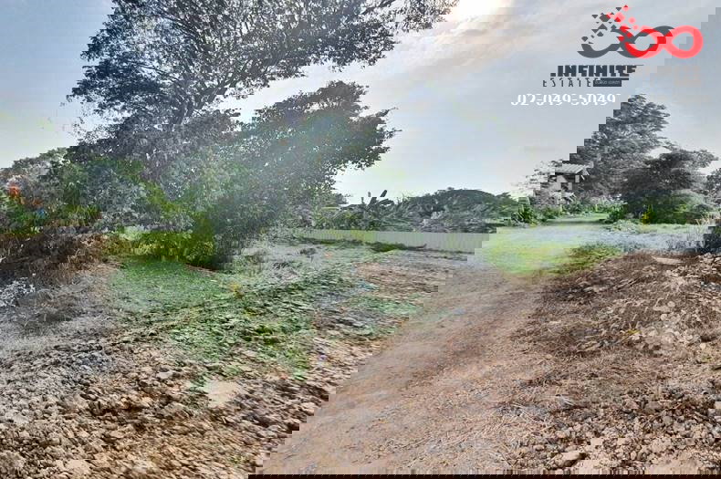 รูป ขายที่ดิน 366 ตรว. ถนนลำไทร หนองจอก ติดถนน 2 ด้าน ปลดล็อคทุกไลฟ์สไตล์ บนที่ดินผืนสวย - รูปที่ 5/6