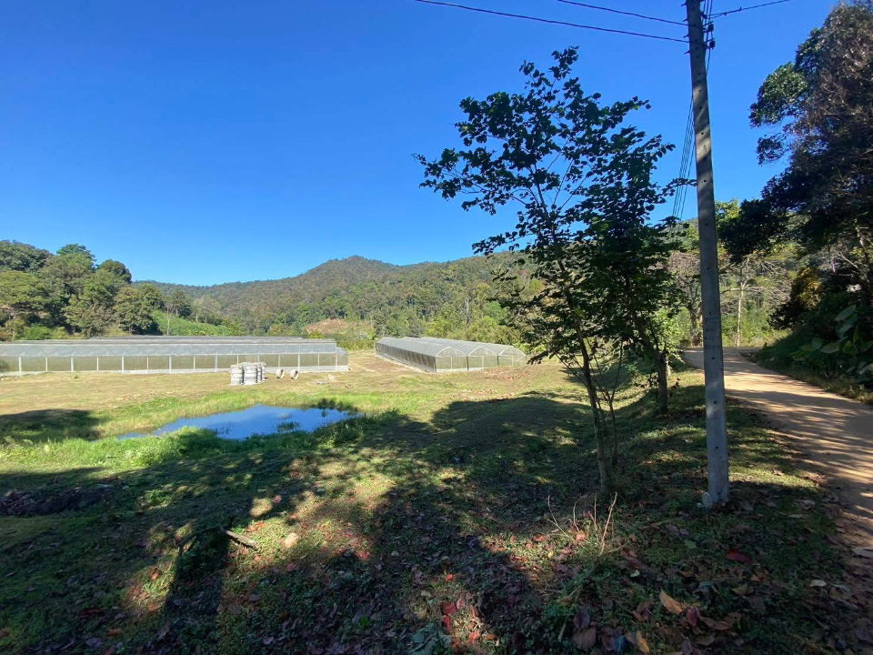 รูป ขายยกแปลง ที่ดินสวนสวย ติดลำธาร ล้อมรอบด้วยภูเขา พร้อมโรงเรือน เหมาะกับสร้างบ้านพัก ฟาร์มเกษตร บรรยากาศดีมาก-SW003589 - รูปที่ 2/14