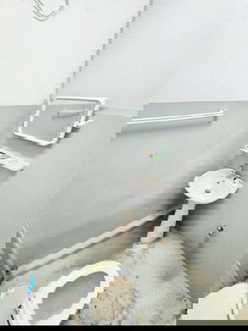 รูป ตลาดหทัยมิตร 850 ม.หทัยราษฎร์ ม.ซาฟารีเวิลด์ 255 ตร.ม โกดังให้เช่า 1 นอน 2 น้ำ เหมาะเก็บสินค้า เหมาะสำหรับธุรกิจออนไลน์ - รูปที่ 7/8