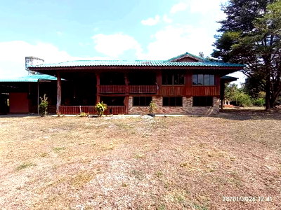 บ้านเดี่ยว ลำพูน : บ้านเดี่ยว 934 ตร.วา ลี้ ลำพูน 7.1M