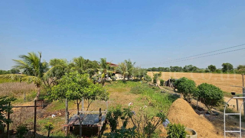 รูป บ้านสวน 250 ตารางวา ถนนรังสิต-นครนายก คลอง 14 องครักษ์ - รูปที่ 26/35