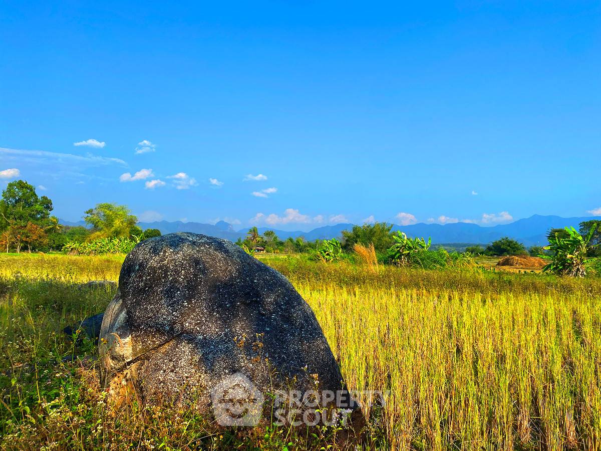 picture 12,896 m² Land for Sale in Mae Na (ID 2654835) - 14/14