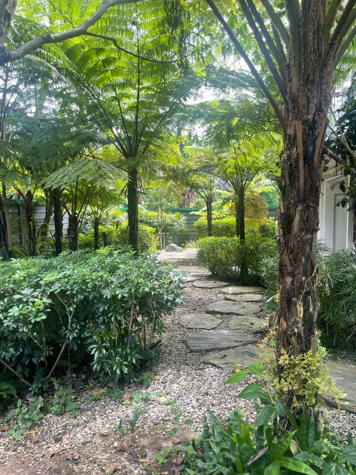 รูป บ้านเดี่ยว 2 ชั้น โครงการ โป่งแยง ฟแวงก์  พร้อมอยู่ วิลล่าส่วนตัว ท่ามกลางขุนเขาในแม่ริม ใกล้ม่อนแจ่มและอุทยานแห่งชาติดอยสุเทพ (ราคา 40,000,000 บาท) - รูปที่ 19/33