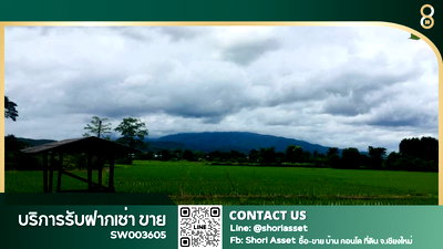 ที่ดิน ไปรษณีย์หางดง  : ขายที่ดินแปลงสวยหางดง เห็นวิวเขา 180 องศา พร้อมสวนลำไย บรรยากาศดีมาก -SW003605