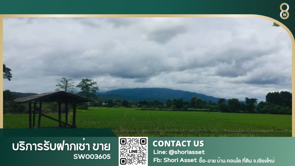 รูป ขายที่ดินแปลงสวยหางดง เห็นวิวเขา 180 องศา พร้อมสวนลำไย บรรยากาศดีมาก -SW003605 - รูปที่ 1/8