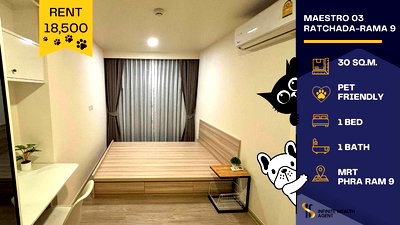 เช่าคอนโด รัชดาภิเษก 3 : 🌙 Private & Peaceful Living at Maestro 03 Ratchada - Rama 9 คอนโดสายสงบ เป็นส่วนตัวสุดๆ ใจกลางเมือง 🖤