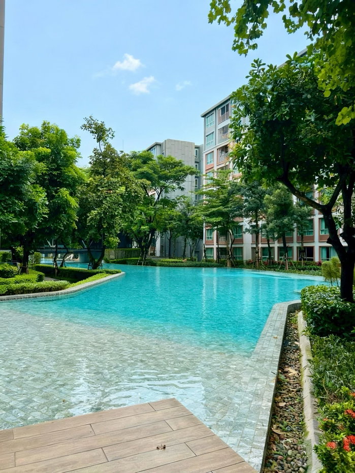 รูป ขาย Dcondo Ping Chiangmai ห้องสวย ตกแต่งครบ พร้อมเข้าอยู่ - รูปที่ 13/14