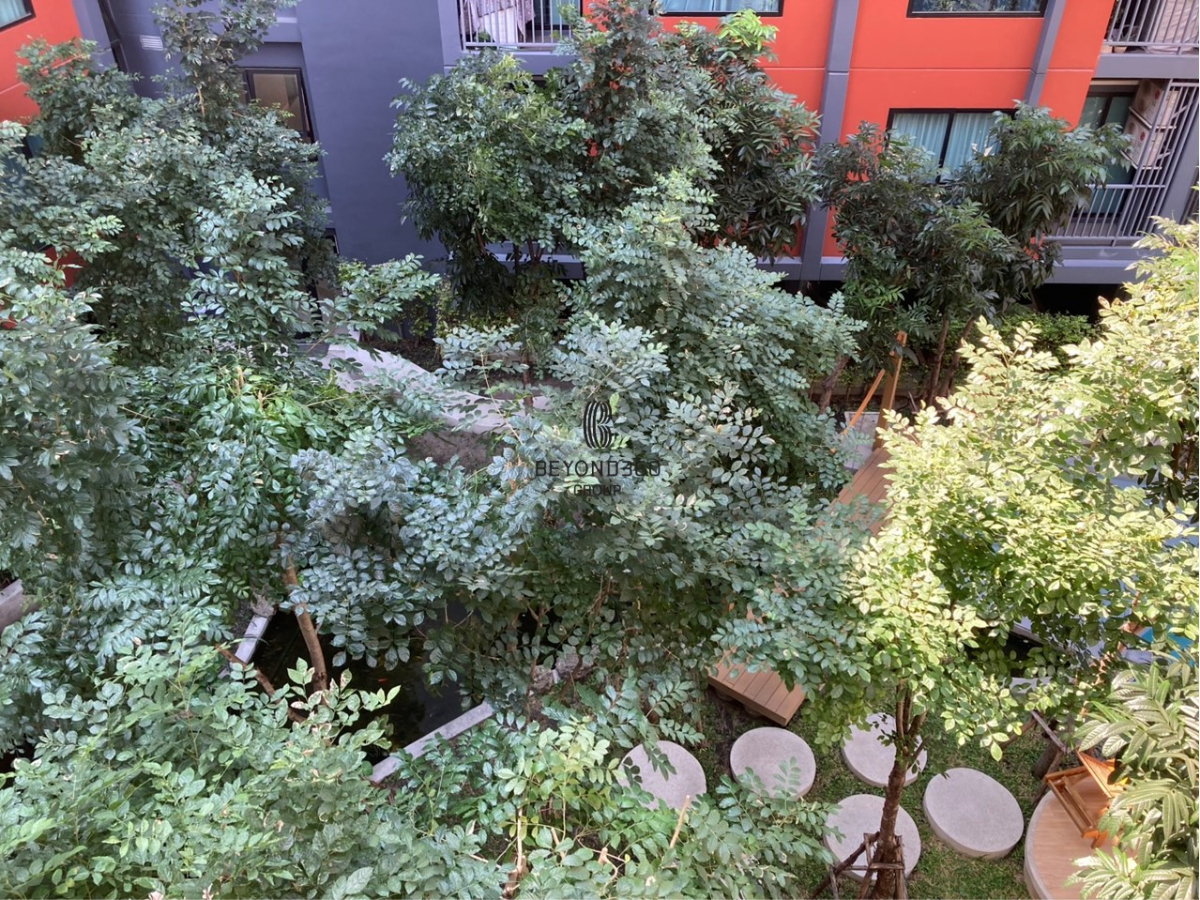 picture Monte Rama 9   🌟PN-00006511🌟 - 14/20