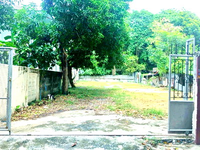 เช่าที่ดิน สนามหลวง : เหมาะทำโกดัง ที่ดินให้เช่า 100ตร.วา ใกล้ MRTเพชรเกษม48 MRT หลักสอง ลานจอดรถ ม.สยาม 2.2 กม นักบุญเปโตร1.28กม. สาย1 บางแวก108-118