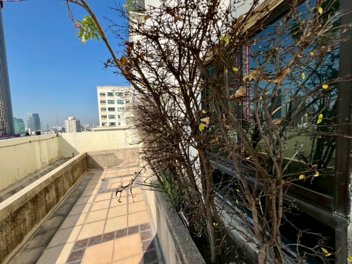 picture ✅ S-LUPT126 ✅ Line : @p2nproperty - 14/15