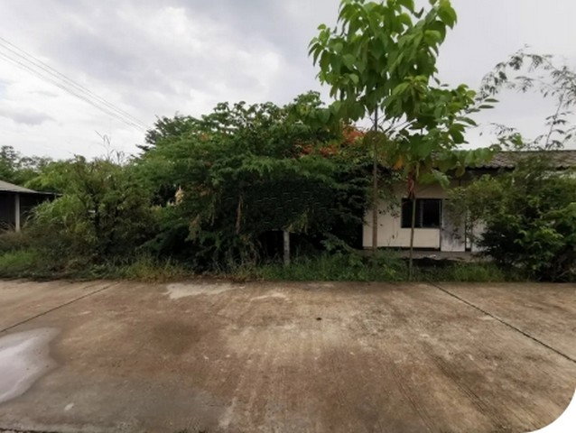 รูป BP00243 ขายบ้านเดี่ยว ตำบลวัดจันทร์ อำเภอเมืองพิษณุโลก จังหวัดพิษณุโลก - รูปที่ 7/8