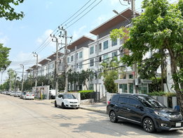 Project Smart Z Onnuch Picture - 4/16