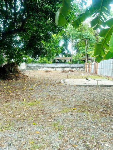 รูป เหมาะทำโกดัง ที่ดินให้เช่า 100ตร.วา ใกล้ MRTเพชรเกษม48 MRT หลักสอง ลานจอดรถ ม.สยาม 2.2 กม นักบุญเปโตร1.28กม. สาย1 บางแวก108-118 - รูปที่ 8/8