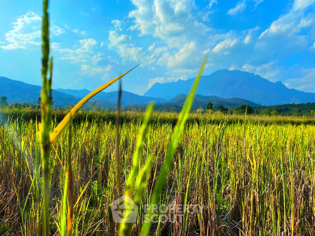 picture 12,896 m² Land for Sale in Mae Na (ID 2654835) - 12/14