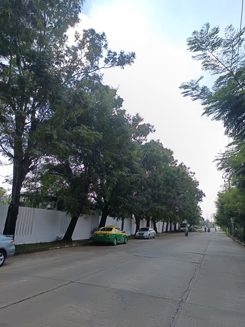 รูป ขายที่ดินติดถนนสุขาภิบาล5 ซอย82 - รูปที่ 5/8