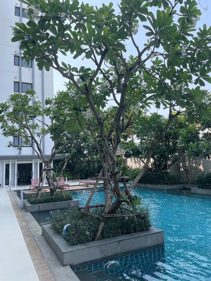 รูป 🏢 ให้เช่าคอนโด : S1 Rama 9 (เอส วัน พระราม 9)   รหัสทรัพย์ | 📌LNP-C7149 - รูปที่ 11/21