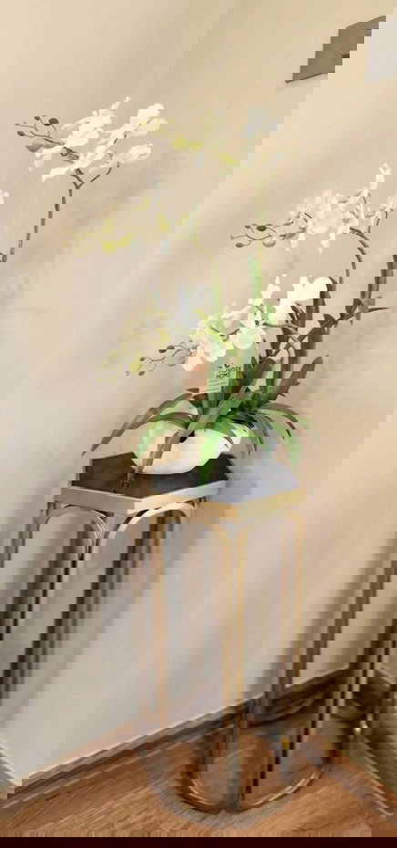 รูป ปล่อยเช่าคอนโดหรูArise Charoen Mueang (อะไรซ์ เจริญเมือง) #คอนโดใหม่เฟอร์ฯใหม่วิวสระว่ายน้ำ หน้าคอนโดมี 7-11 , Supermarket ,ตลาดทวีโชค - รูปที่ 7/21